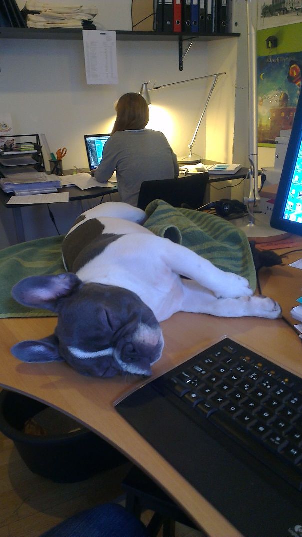 Work Can Be Soooo Boring!