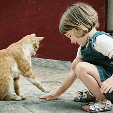 Children's Wonderful Best Friend