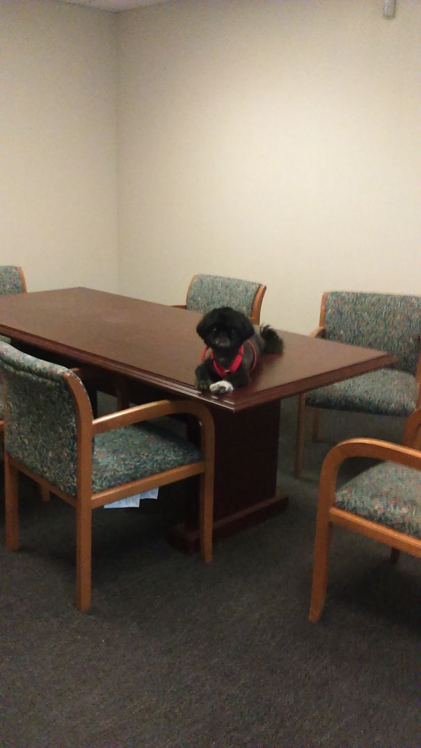 Ready For The Conference