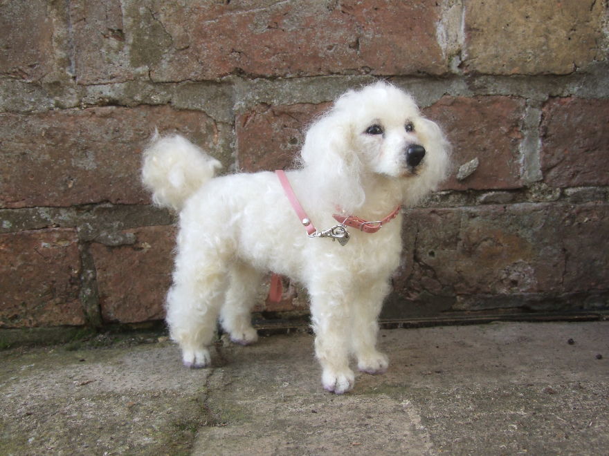 I Needle-Felt Realistic Sculptures Inspired By Real Animals