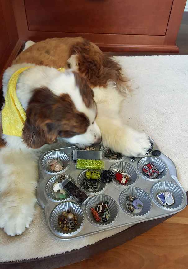 Daisy Works With Me In My Jewelry Studio Every Day.