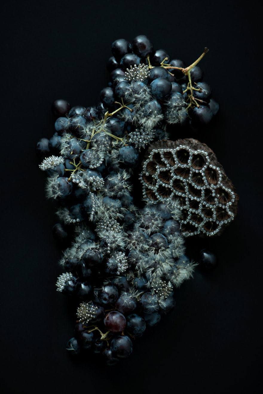 Flower Portraits By Isabelle Chapuis & Duy Anh Nhan Duc