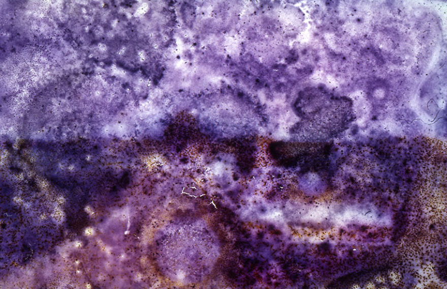 I Found These Moldy Old Slides On The Streets, I Enjoy Rescuing Memories. I Found These Moldy Old Slides On The Streets, I Enjoy Rescuing Memories.