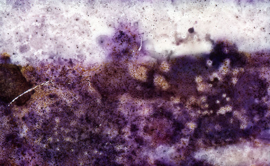 I Found These Moldy Old Slides On The Streets, I Enjoy Rescuing Memories. I Found These Moldy Old Slides On The Streets, I Enjoy Rescuing Memories.