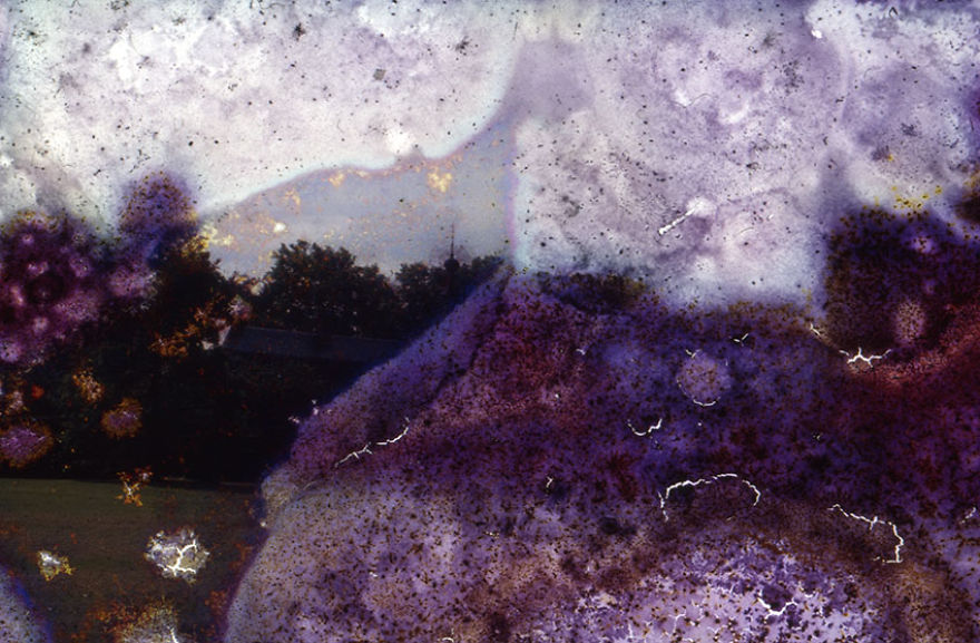 I Found These Moldy Old Slides On The Streets, I Enjoy Rescuing Memories. I Found These Moldy Old Slides On The Streets, I Enjoy Rescuing Memories.