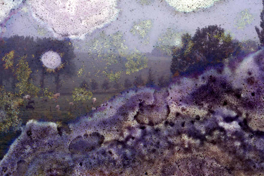 I Found These Moldy Old Slides On The Streets, I Enjoy Rescuing Memories. I Found These Moldy Old Slides On The Streets, I Enjoy Rescuing Memories.