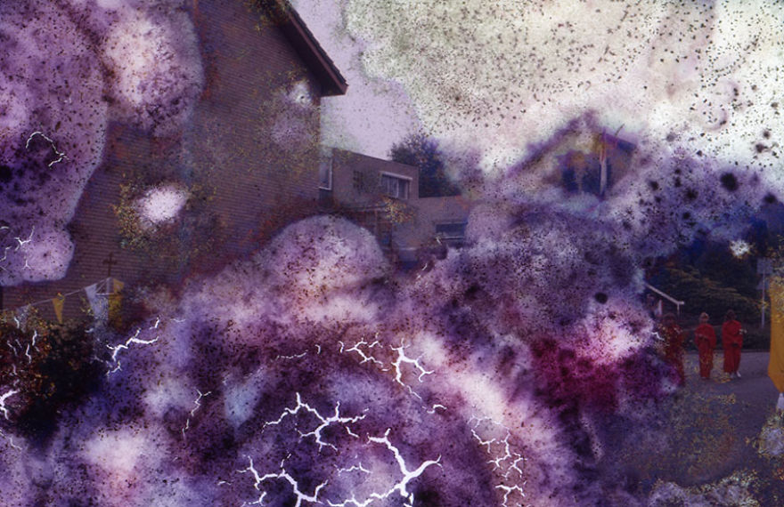 I Found These Moldy Old Slides On The Streets, I Enjoy Rescuing Memories. I Found These Moldy Old Slides On The Streets, I Enjoy Rescuing Memories.