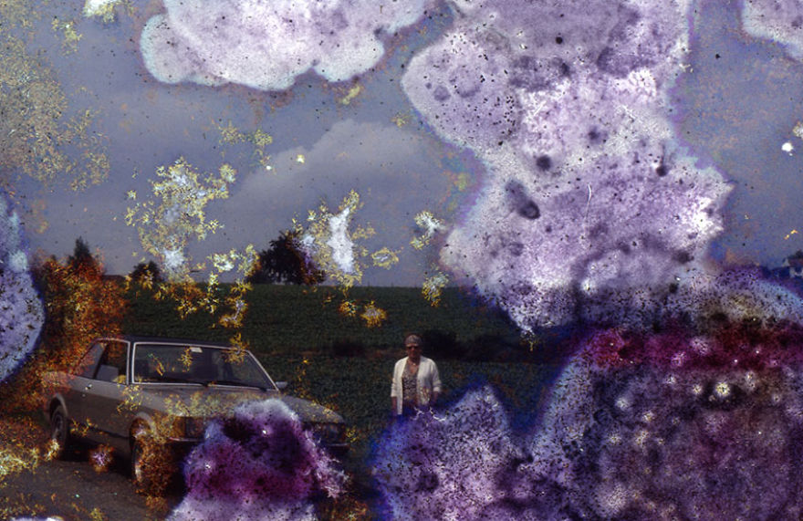 I Found These Moldy Old Slides On The Streets, I Enjoy Rescuing Memories. I Found These Moldy Old Slides On The Streets, I Enjoy Rescuing Memories.