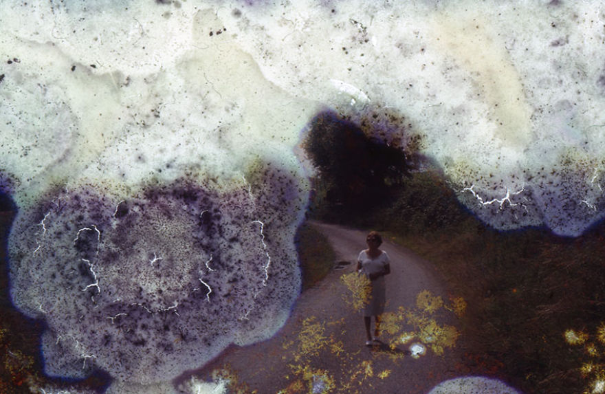 I Found These Moldy Old Slides On The Streets, I Enjoy Rescuing Memories. I Found These Moldy Old Slides On The Streets, I Enjoy Rescuing Memories.