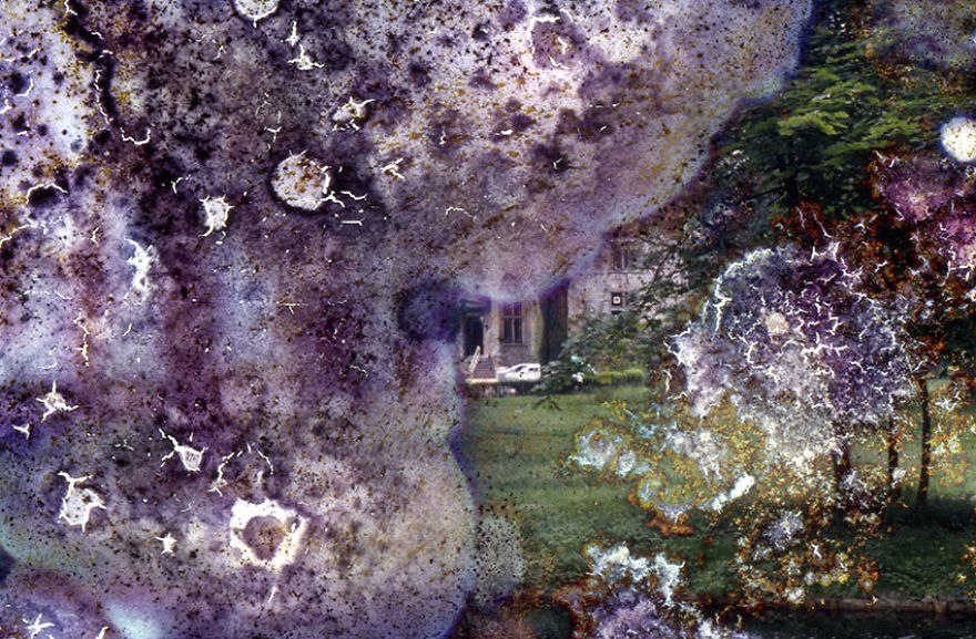 I Found These Moldy Old Slides On The Streets, I Enjoy Rescuing Memories. I Found These Moldy Old Slides On The Streets, I Enjoy Rescuing Memories.