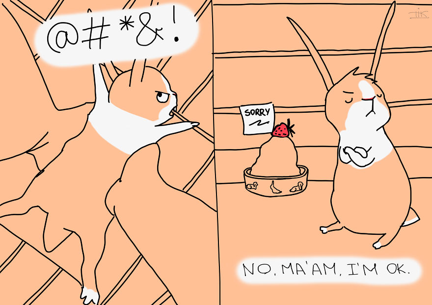 Everything You Always Wanted To Know About Rabbits, But Were Afraid To Ask