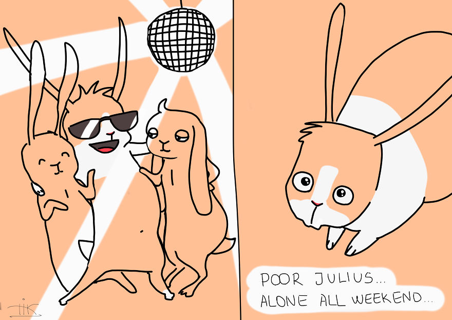 Everything You Always Wanted To Know About Rabbits, But Were Afraid To Ask