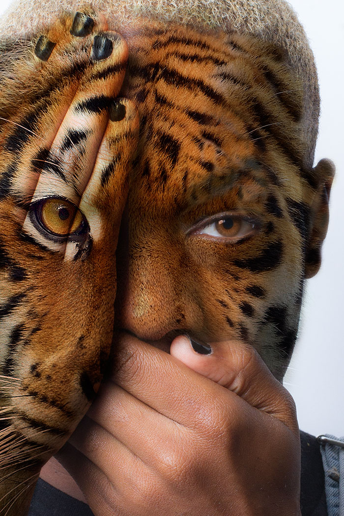 Faces Of The Wild: I Fight Animal Captivity With My Portraits