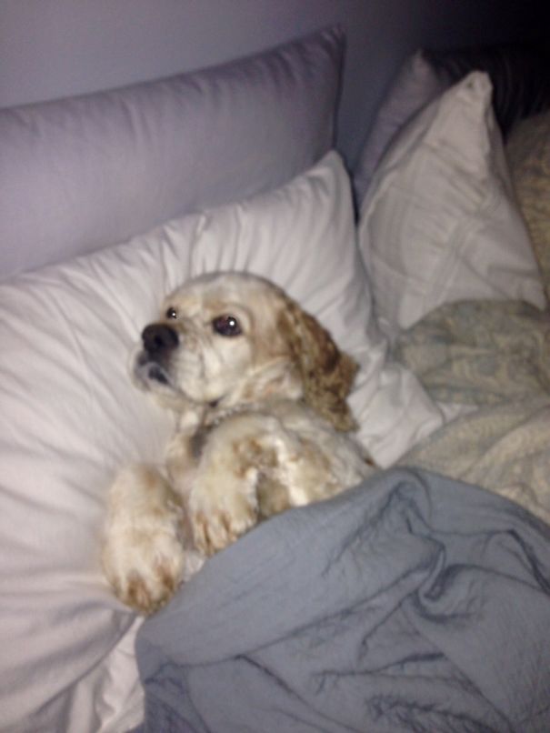 Are You Comfortable?