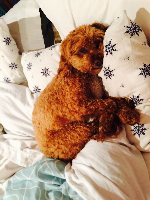 Please Don't Make Me Wake Up.