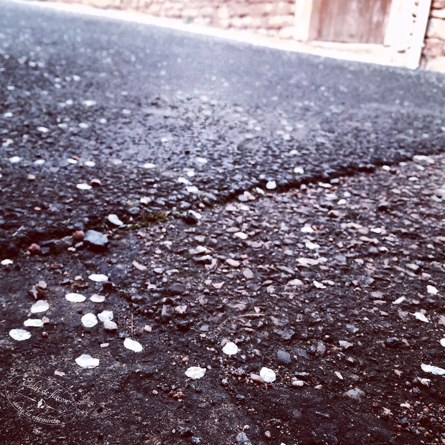 13 Ways To Make Your Countryside Extraordinary