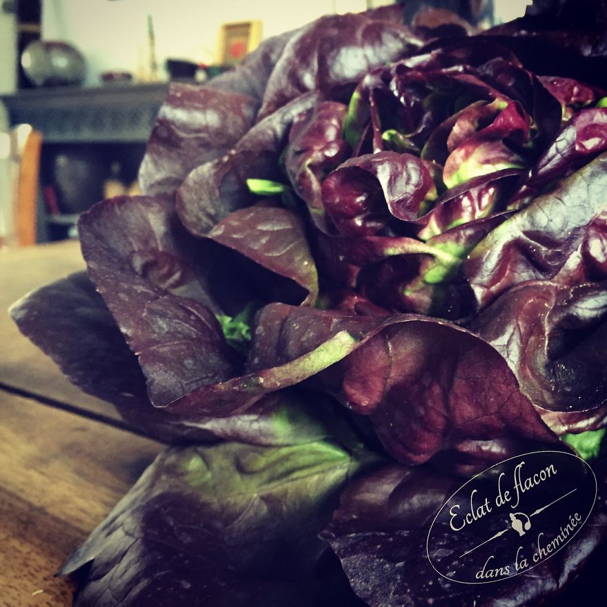 13 Ways To Make Your Countryside Extraordinary