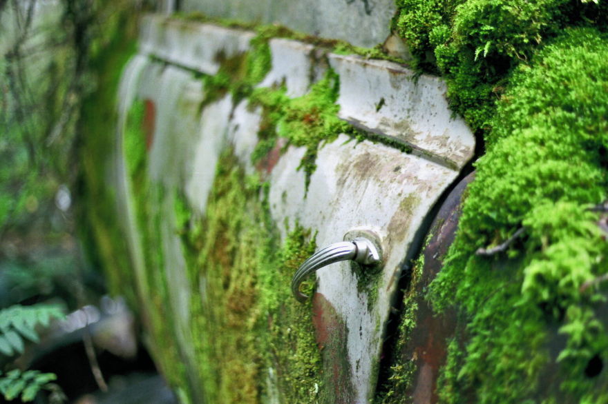 Hundreds Of Classic Abandoned Cars Hidden In Swedish Forest Hundreds Of Classic Abandoned Cars Hidden In Swedish Forest
