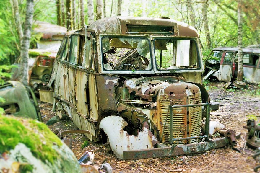 Hundreds Of Classic Abandoned Cars Hidden In Swedish Forest Hundreds Of Classic Abandoned Cars Hidden In Swedish Forest