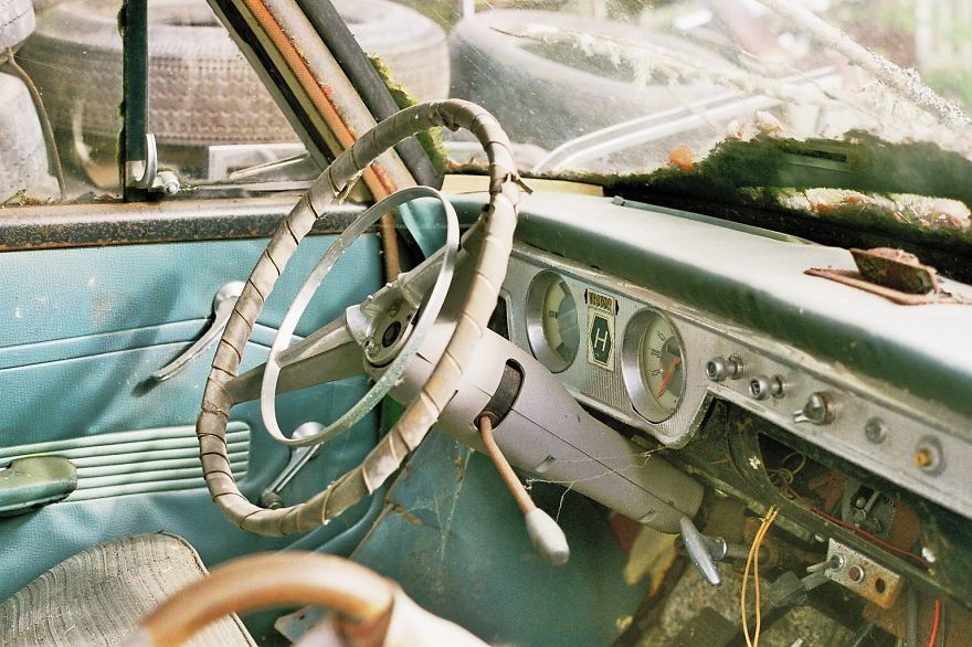 Hundreds Of Classic Abandoned Cars Hidden In Swedish Forest