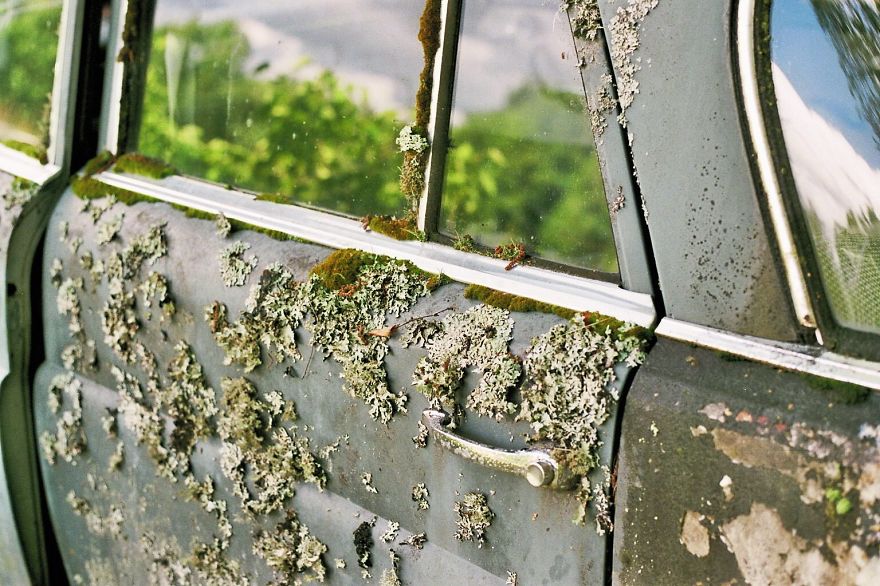 Hundreds Of Classic Abandoned Cars Hidden In Swedish Forest