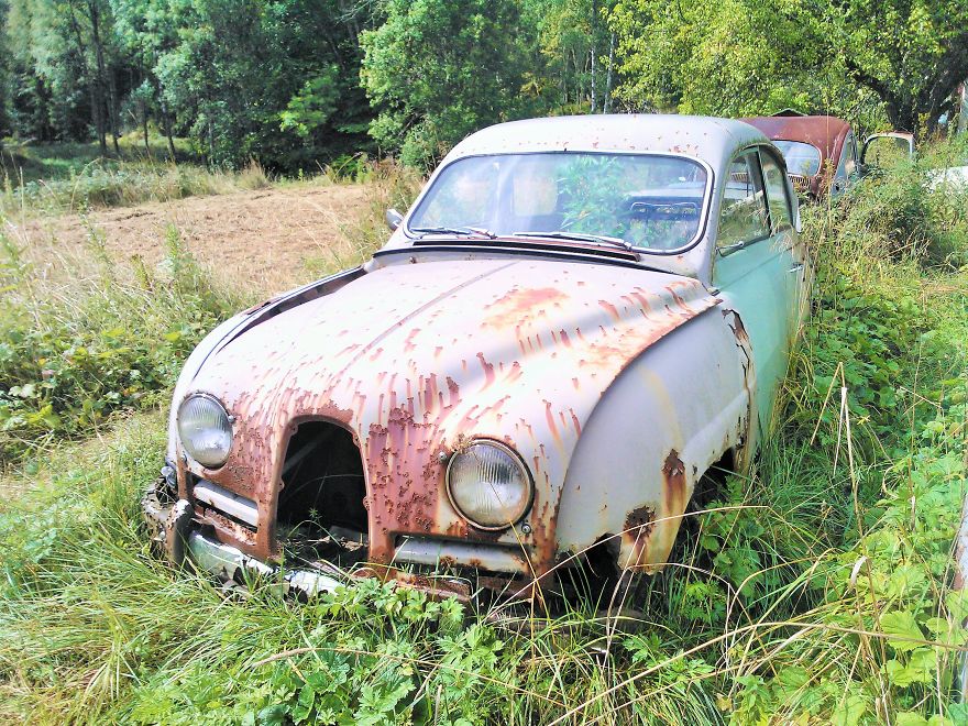 Hundreds Of Classic Abandoned Cars Hidden In Swedish Forest