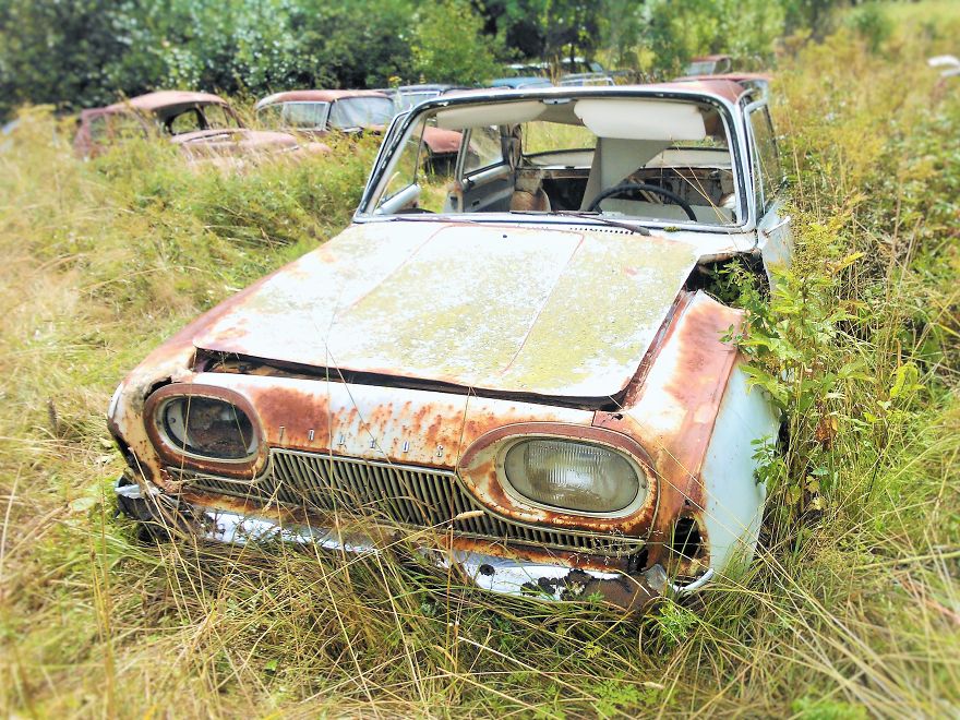 Hundreds Of Classic Abandoned Cars Hidden In Swedish Forest