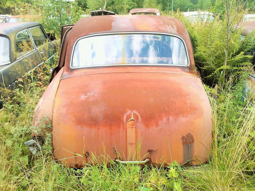 Hundreds Of Classic Abandoned Cars Hidden In Swedish Forest Hundreds Of Classic Abandoned Cars Hidden In Swedish Forest