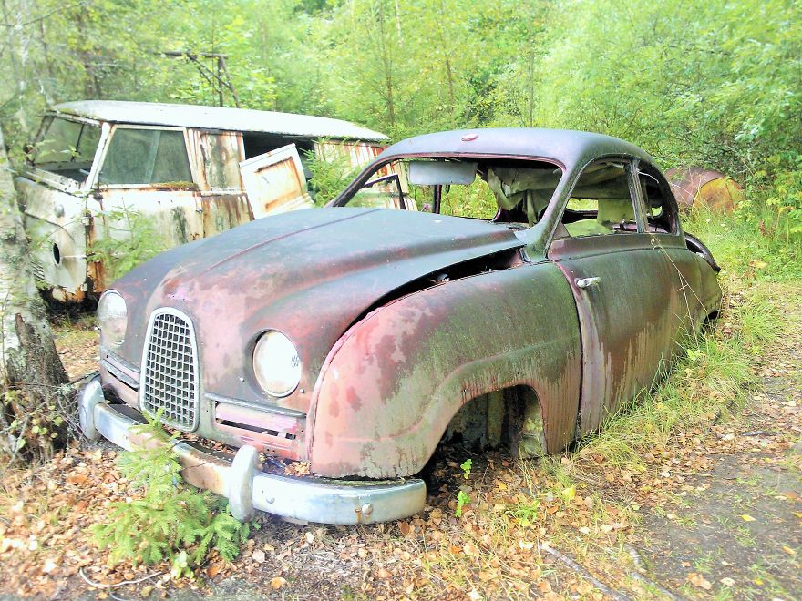 Hundreds Of Classic Abandoned Cars Hidden In Swedish Forest