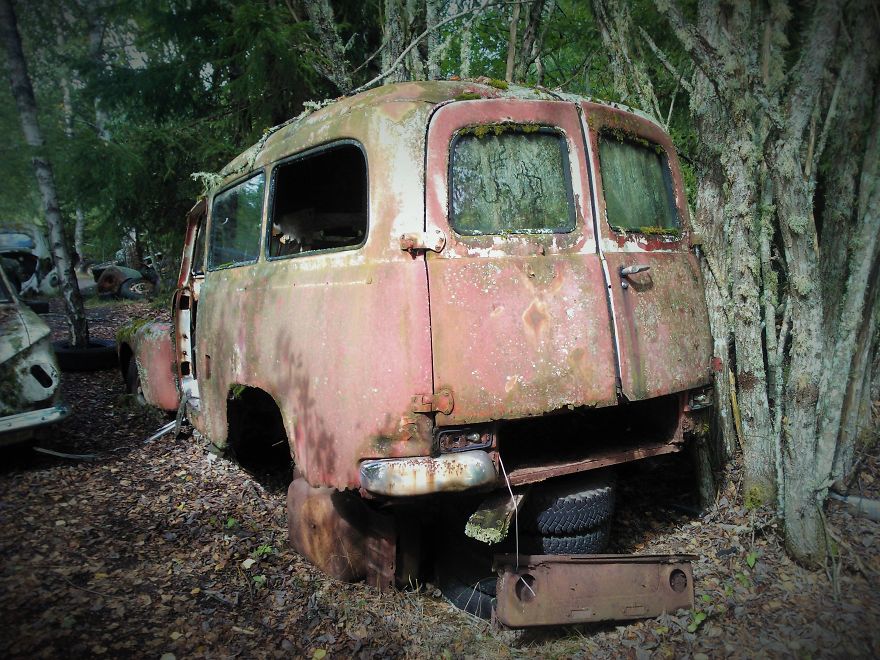 Hundreds Of Classic Abandoned Cars Hidden In Swedish Forest