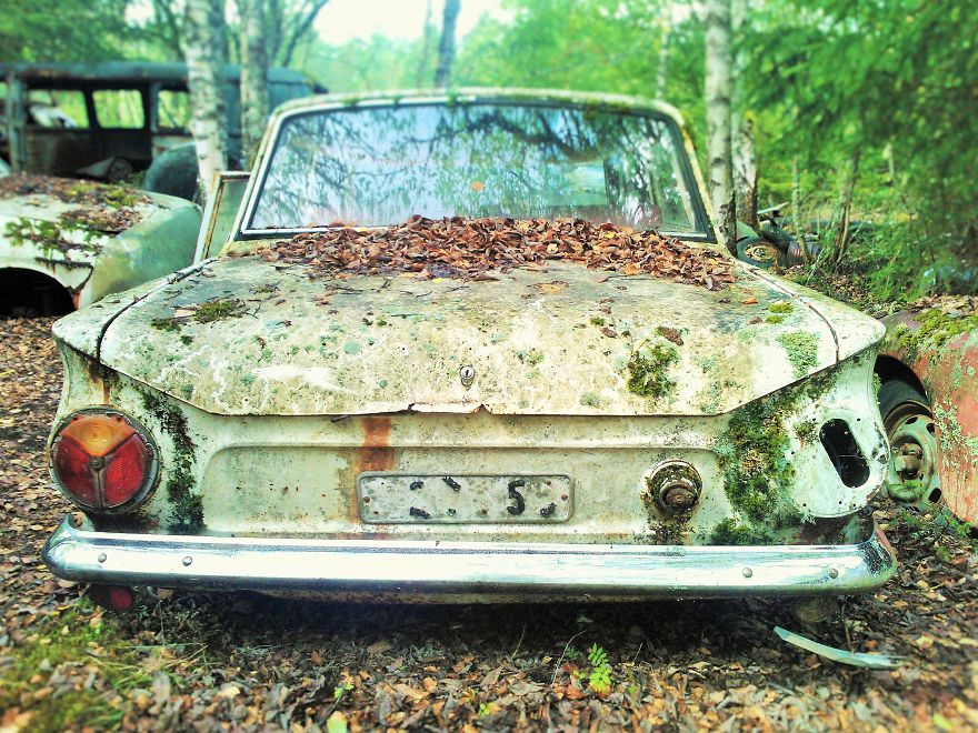 Hundreds Of Classic Abandoned Cars Hidden In Swedish Forest Hundreds Of Classic Abandoned Cars Hidden In Swedish Forest
