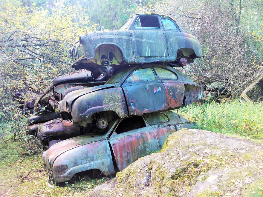 Hundreds Of Classic Abandoned Cars Hidden In Swedish Forest