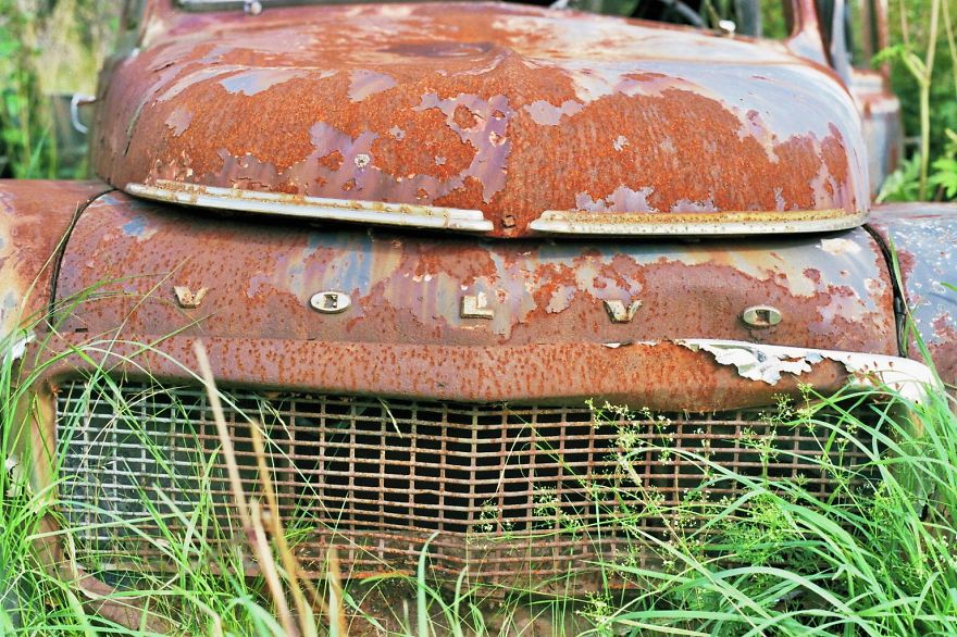 Hundreds Of Classic Abandoned Cars Hidden In Swedish Forest