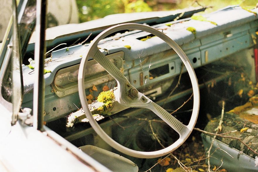 Hundreds Of Classic Abandoned Cars Hidden In Swedish Forest Hundreds Of Classic Abandoned Cars Hidden In Swedish Forest