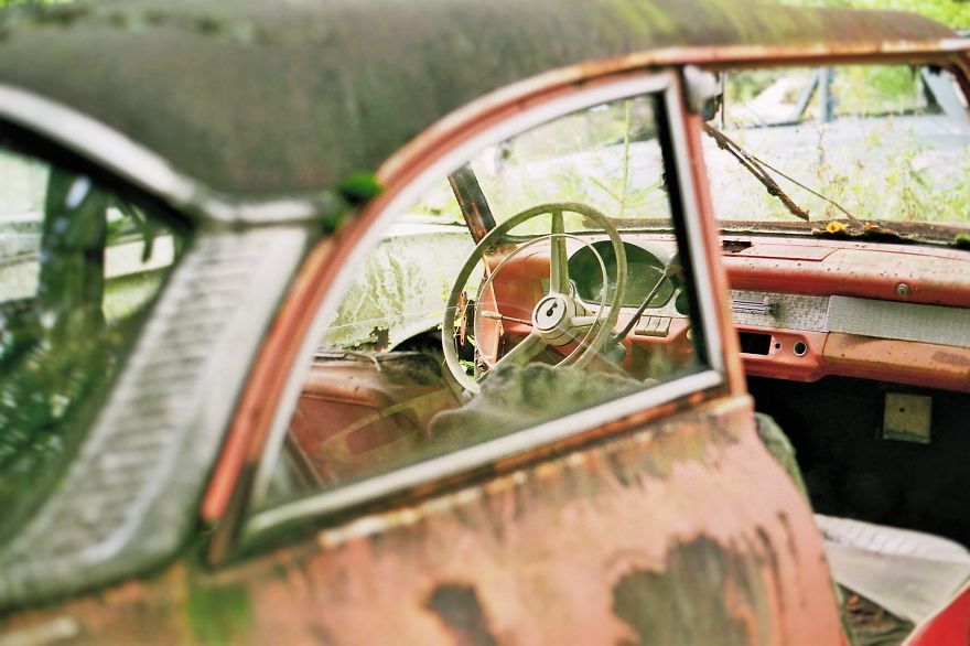 Hundreds Of Classic Abandoned Cars Hidden In Swedish Forest