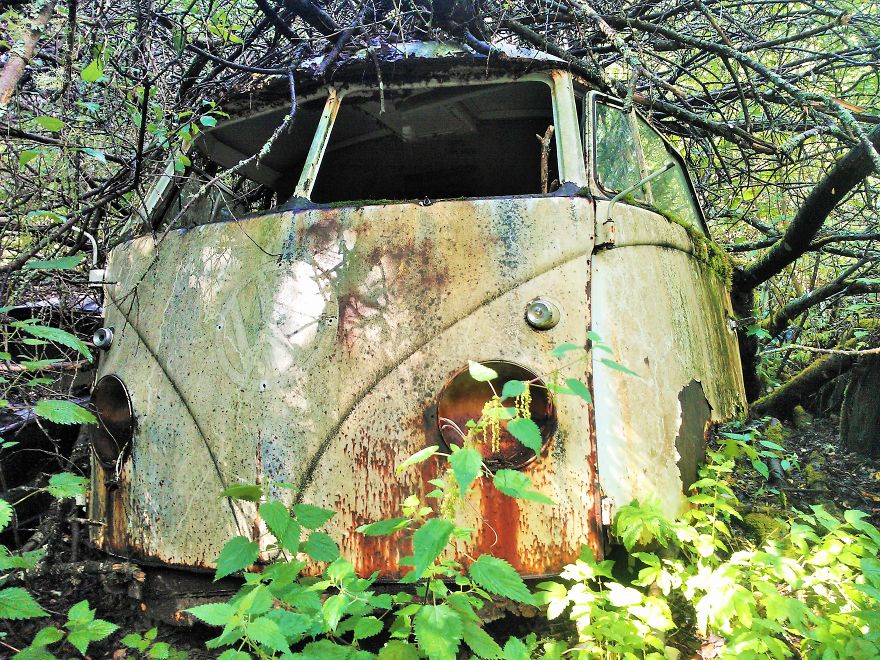 Hundreds Of Classic Abandoned Cars Hidden In Swedish Forest