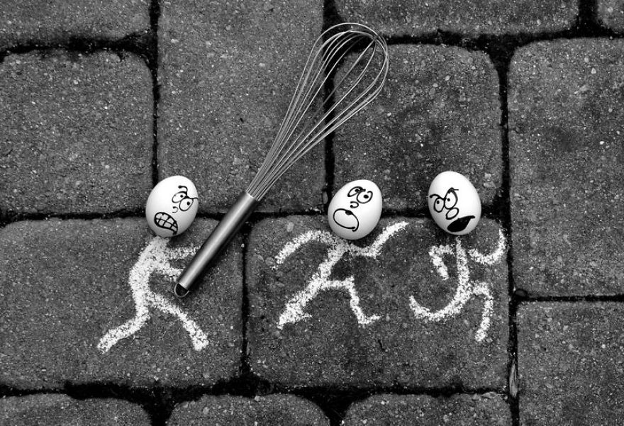 The Secret Life Of Eggs By Mysha Islam