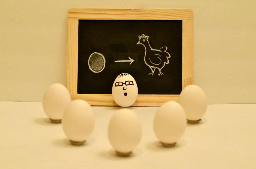 The Secret Life Of Eggs By Mysha Islam