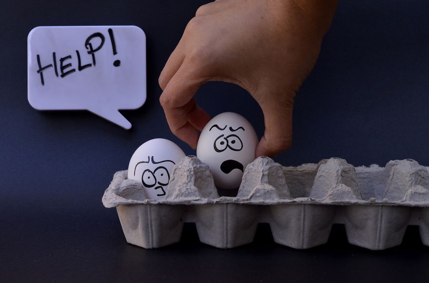 The Secret Life Of Eggs By Mysha Islam