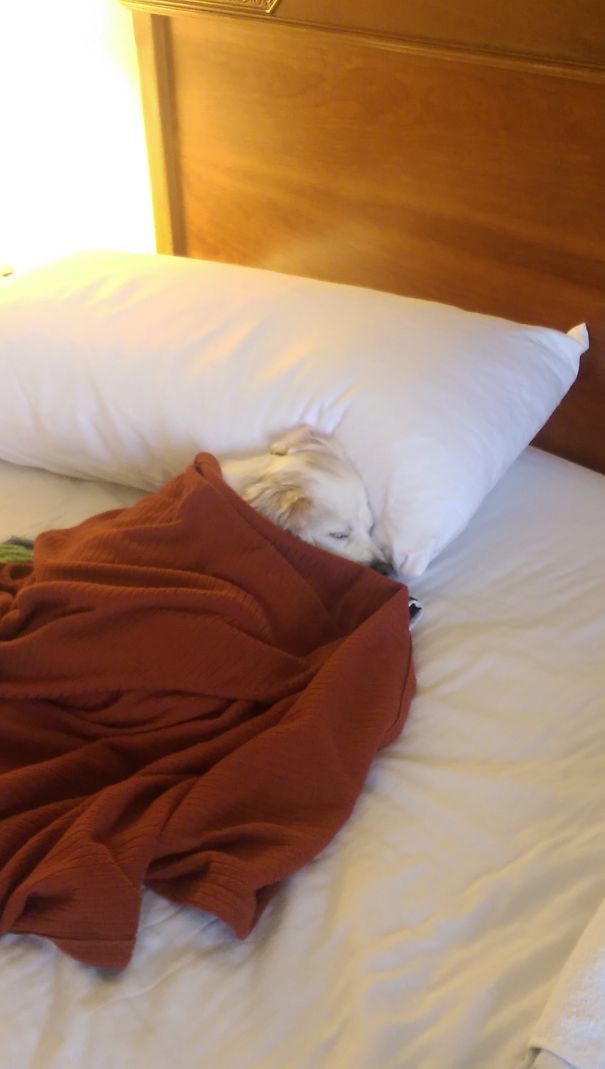 Sleeping In After A Long Day