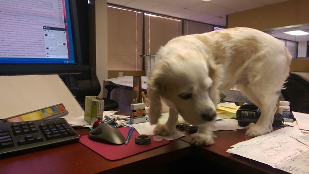 Such Disappointment ...