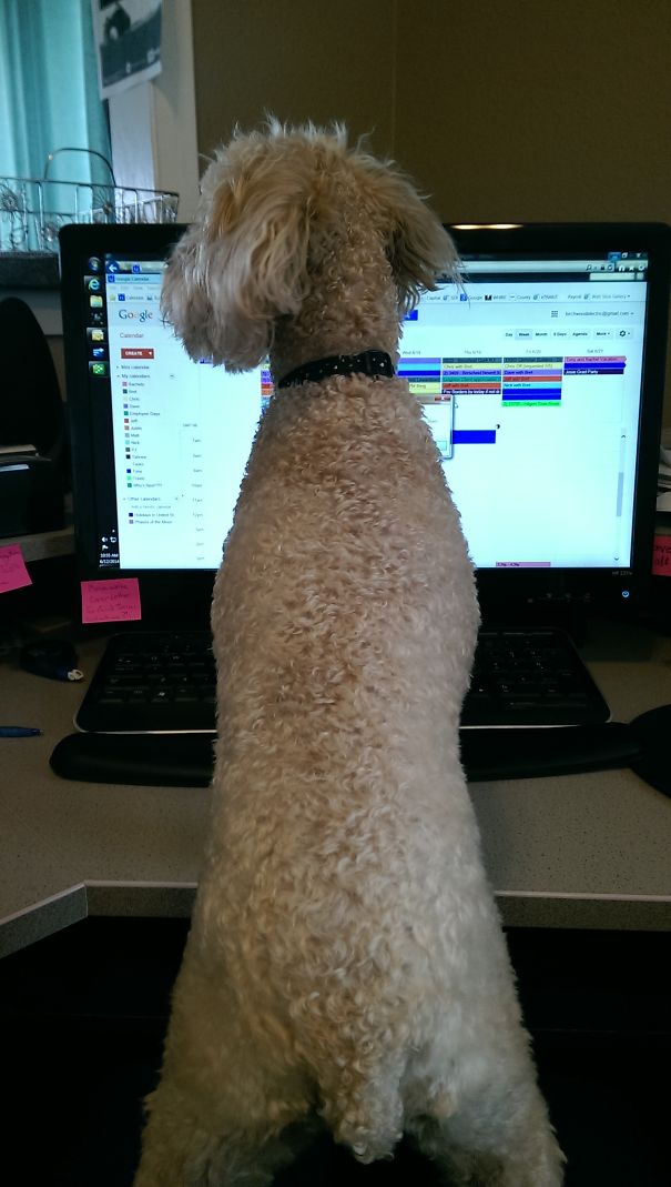 She's Setting The Schedule For Me