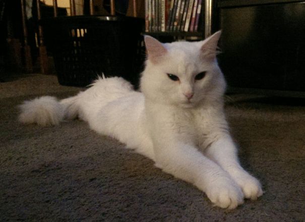 Draw Me Like One Of Your French Men.