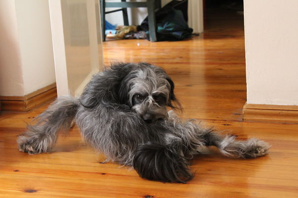 Photoshooting Summer 2015