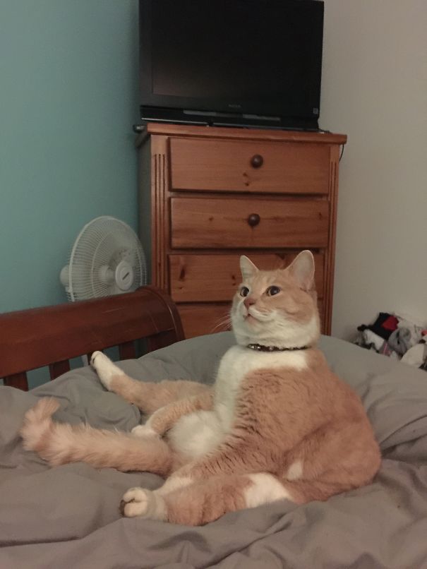 Hurry Up And Paint, I Can't Sit Like This All Day