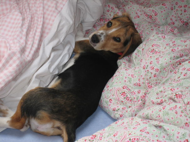 What's Up?! Anything Wrong??