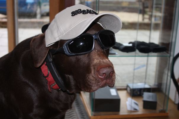 Moka Hard At Work @intelligent Armour