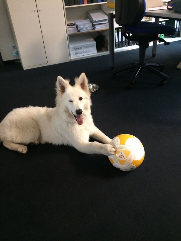 How To Keep Shilling At Work..