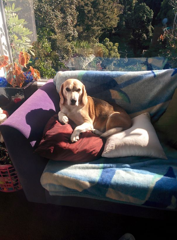 I'm Ready. Start Painting.