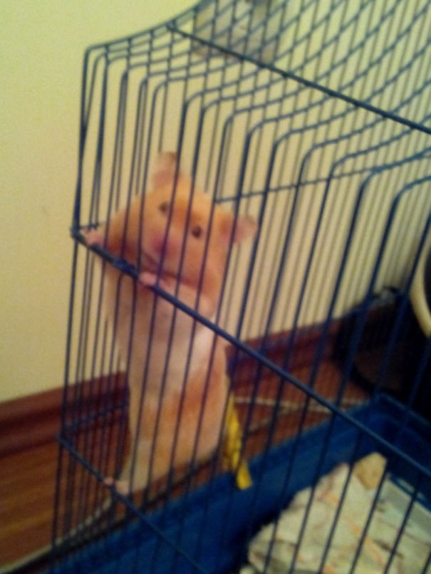 Just One Of My Poses